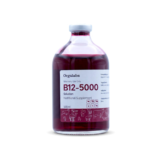 B12-5000 100ML