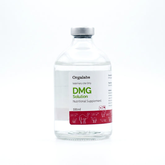 DMG Solution
