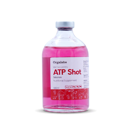 ATP Shot