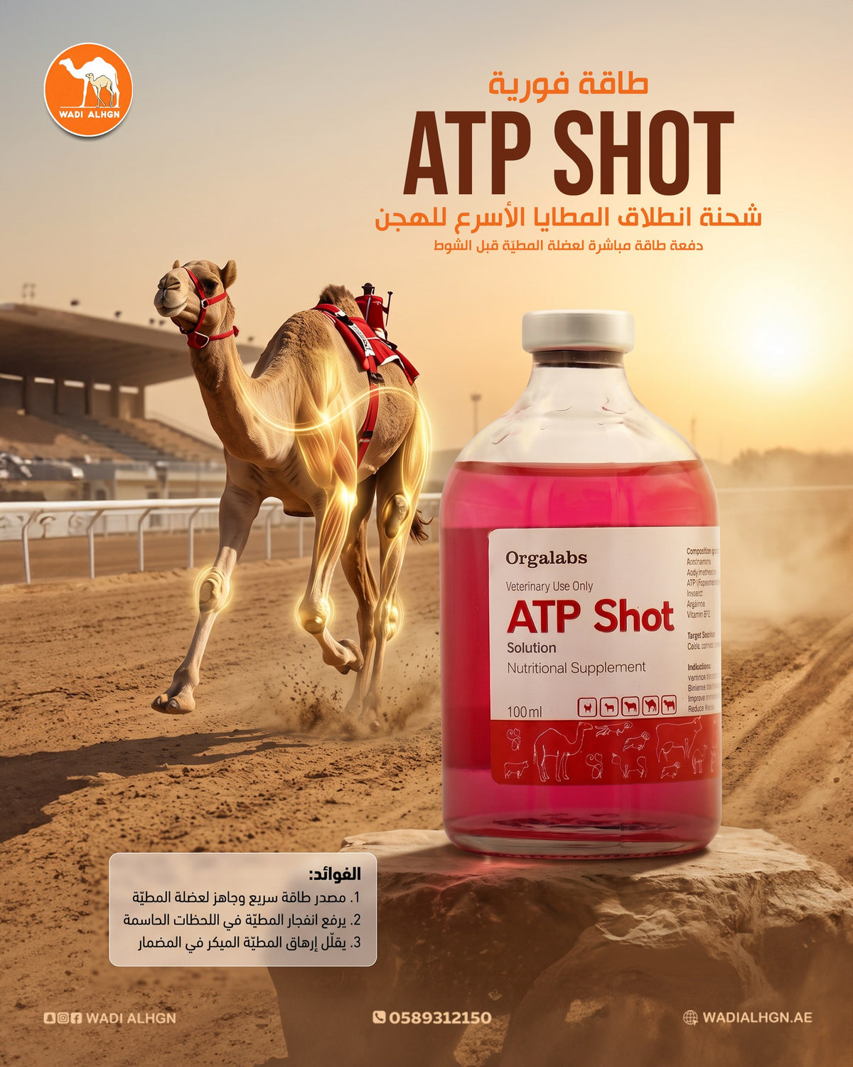 Instant energy shot