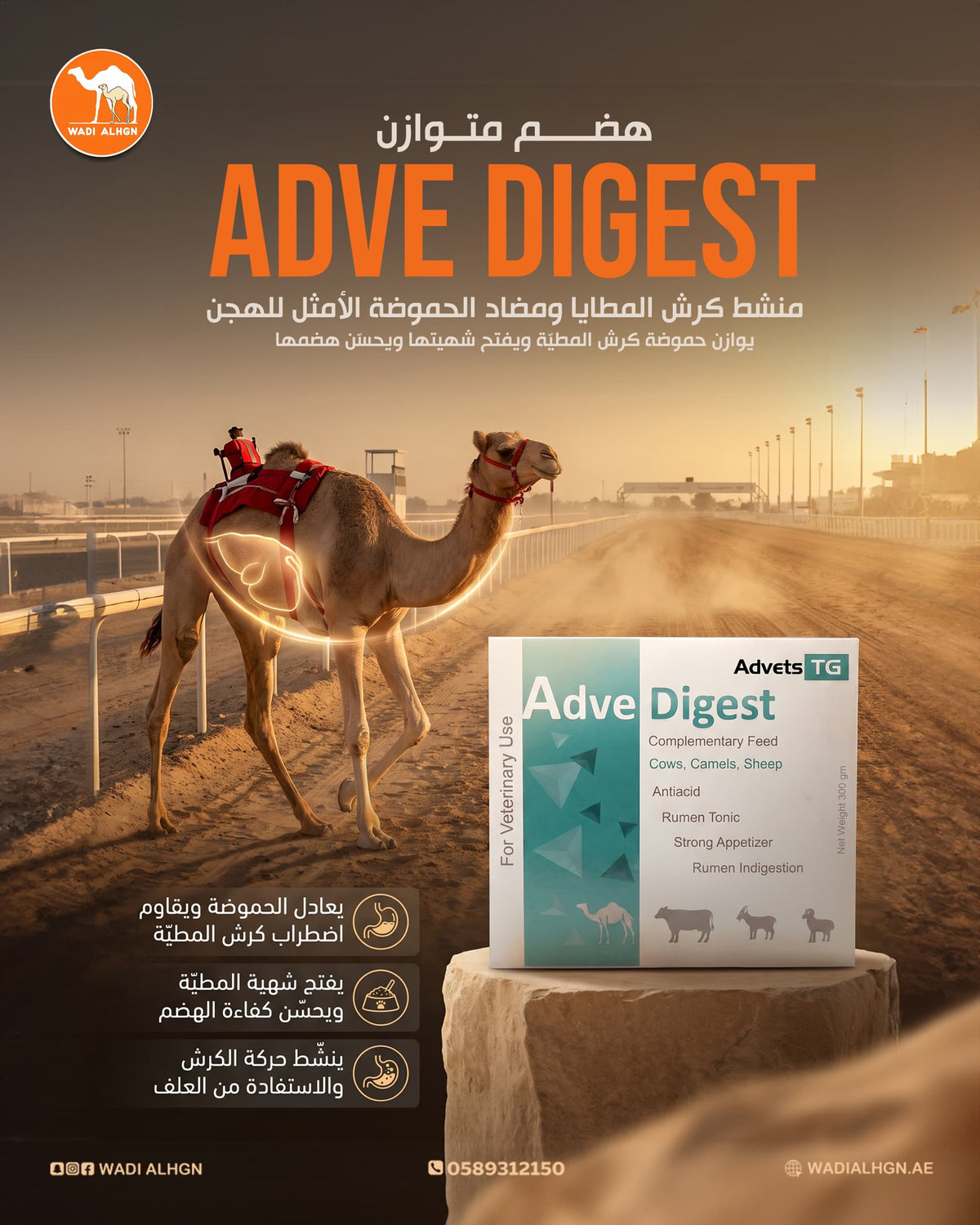 Digestive system